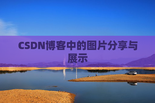 CSDN博客中的图片分享与展示